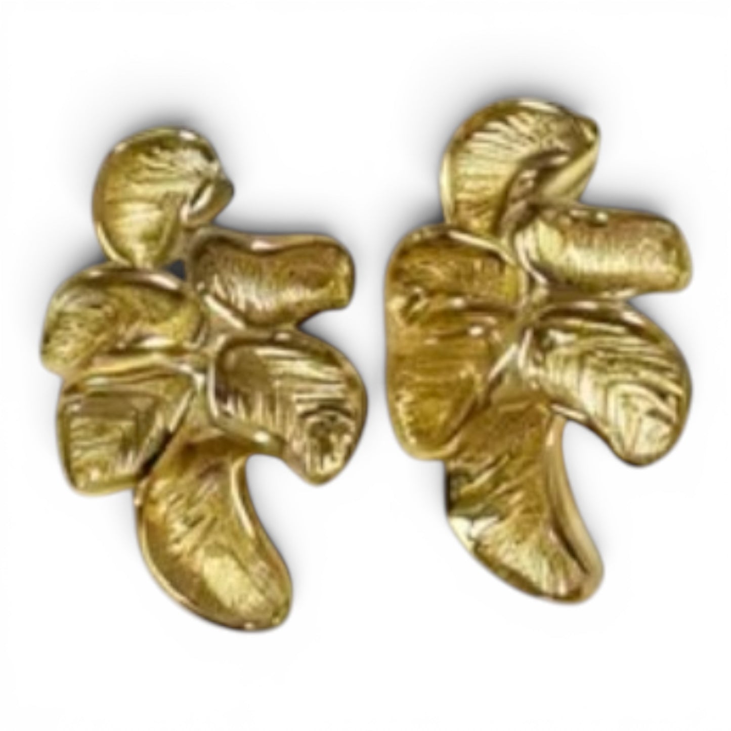 Wild Wonders Earrings