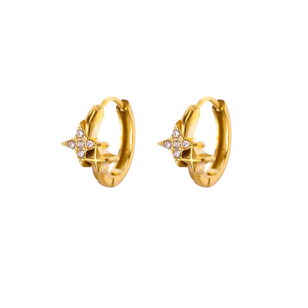 Sparkly Earrings